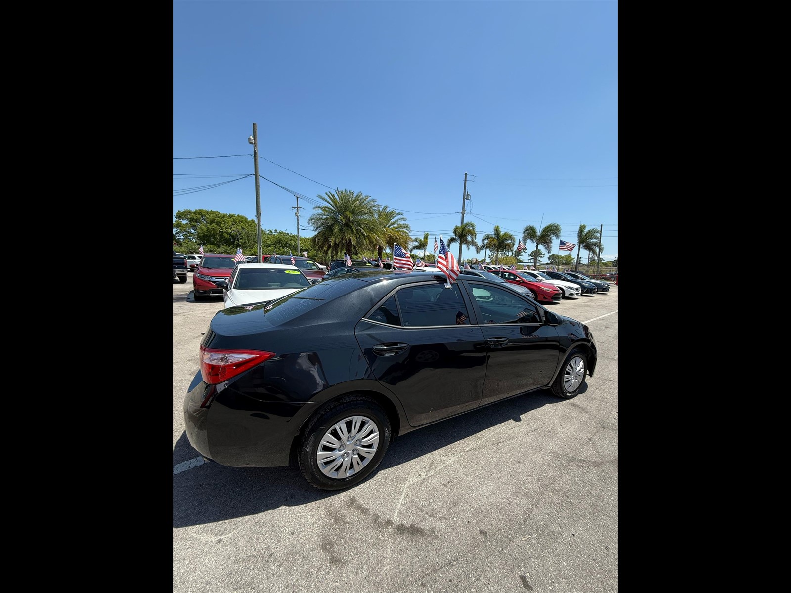 2019 Toyota Corolla in Princeton, FL