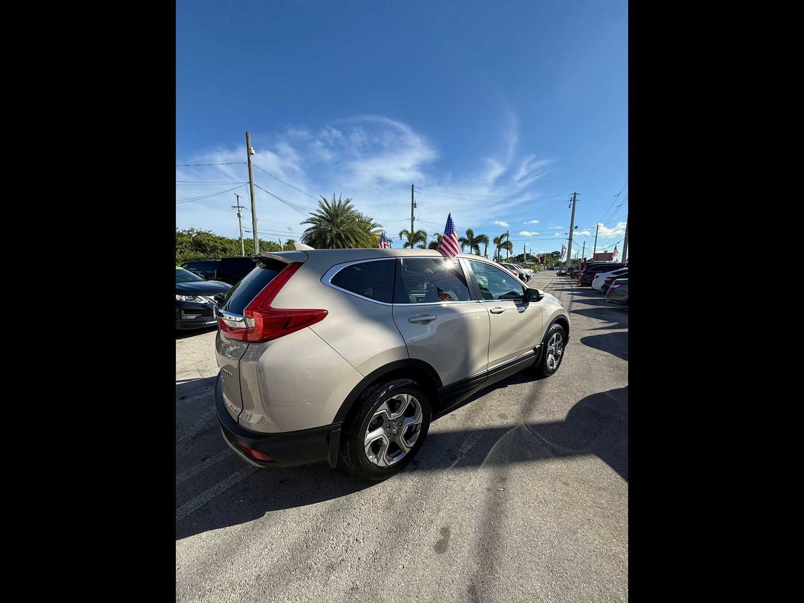 2019 HONDA CR-V in Princeton, FL