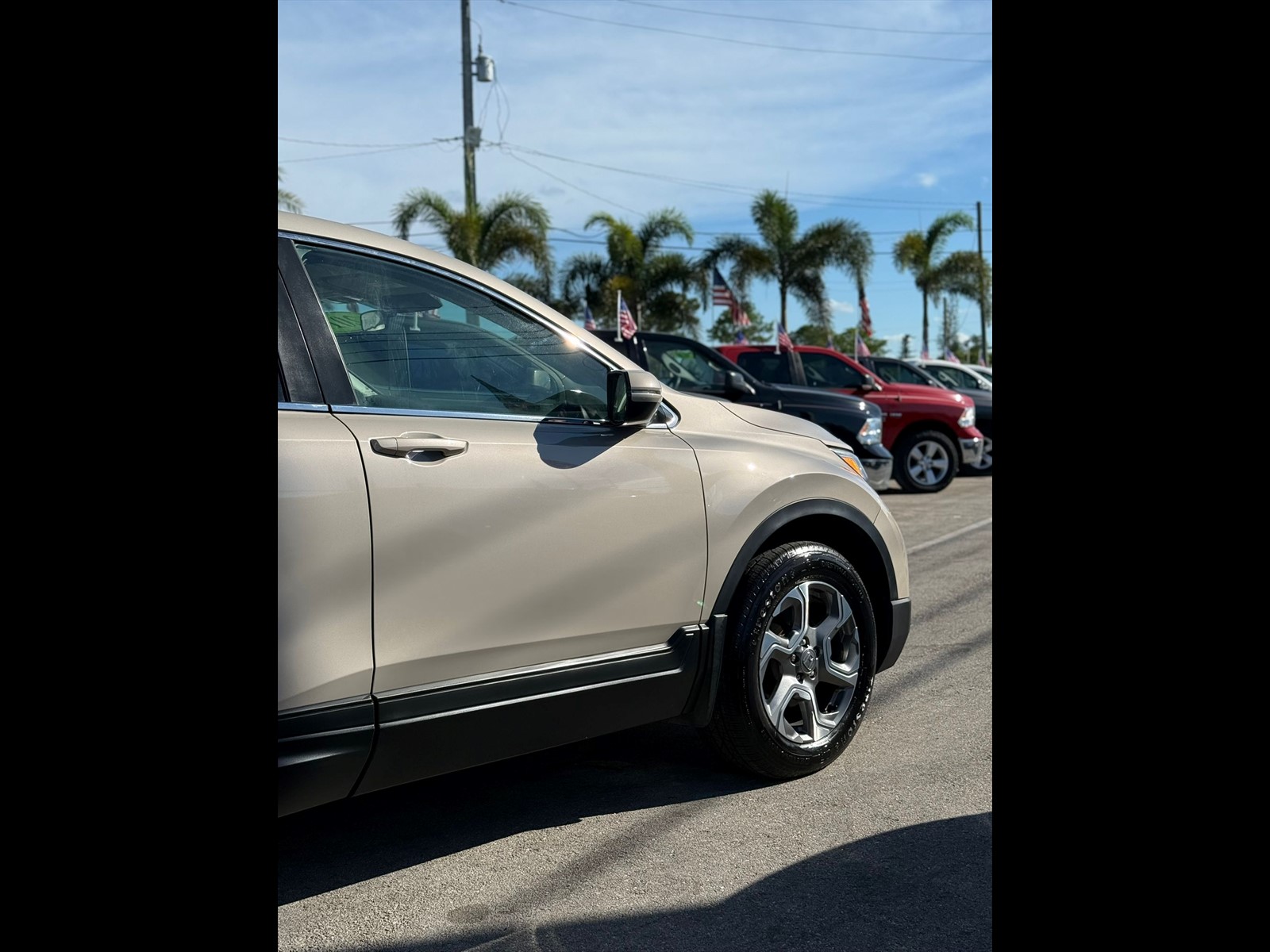 2019 HONDA CR-V in Princeton, FL