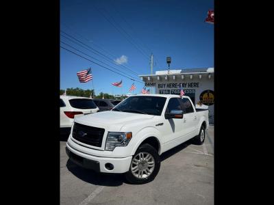 2013 FORD F-150 in Princeton, FL