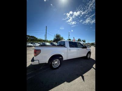 2013 FORD F-150 in Princeton, FL