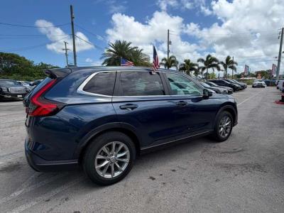2023 HONDA CR-V in Princeton, FL