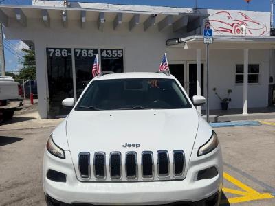 2017 JEEP Cherokee in Princeton, FL