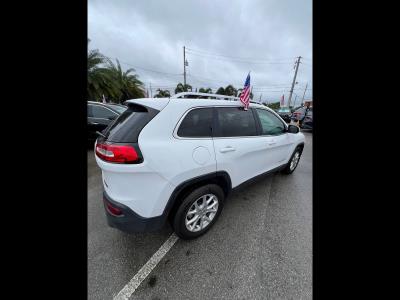 2017 JEEP Cherokee in Princeton, FL